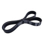 Solid Spare 117206TA0A Belt for Nissan Quest Pathfinder Murano Maxima Frontier Infiniti JX35