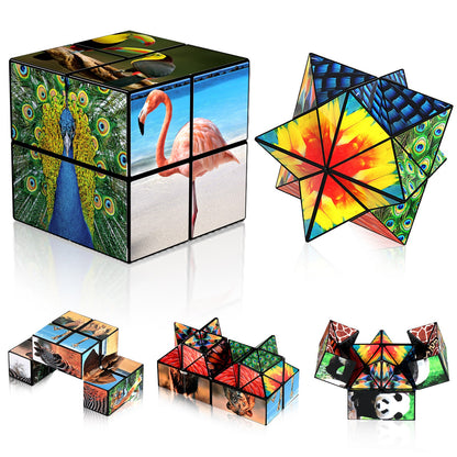 2 In 1 Animal Style Star Cube Magic Cube Set For Kid And Adult Toy Ages 8-12