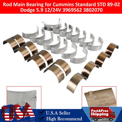 Rod Main Bearing for Cummins Standard STD 89-02 Dodge 5.9 12/24V 3969562 3802070