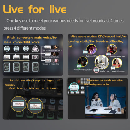 V10 Live Sound Card & M800 Condenser Microphone for Mobile Karaoke & TikTok Live