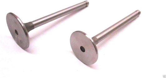 Solid Spare Kohler 32-016-01-S + 24-017-01-S Exhaust Valve and Intake Valve Kit