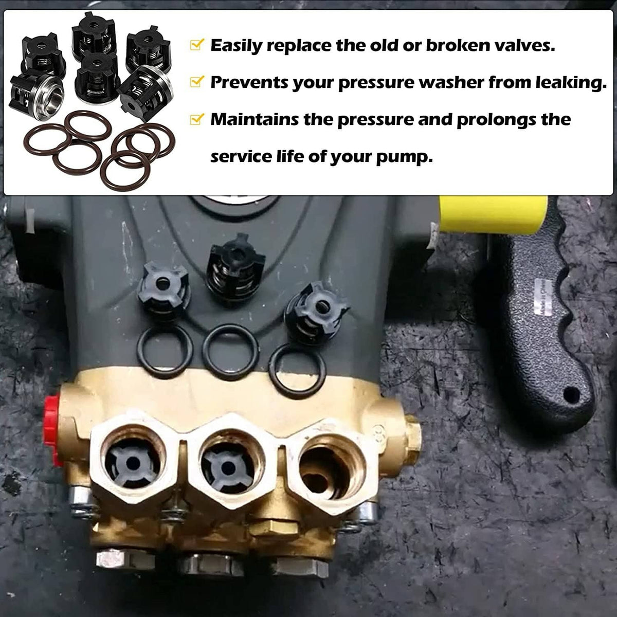 Solid Spare AR1828 Pump Check Valves Kit for Annovi Reverberi 18mm XR RK RKA RKV 70-0179