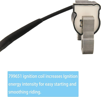 Solidspare 2Pcs Ignition Coil Fits For Briggs & Stratton 446777 446877 543477 592846 691060