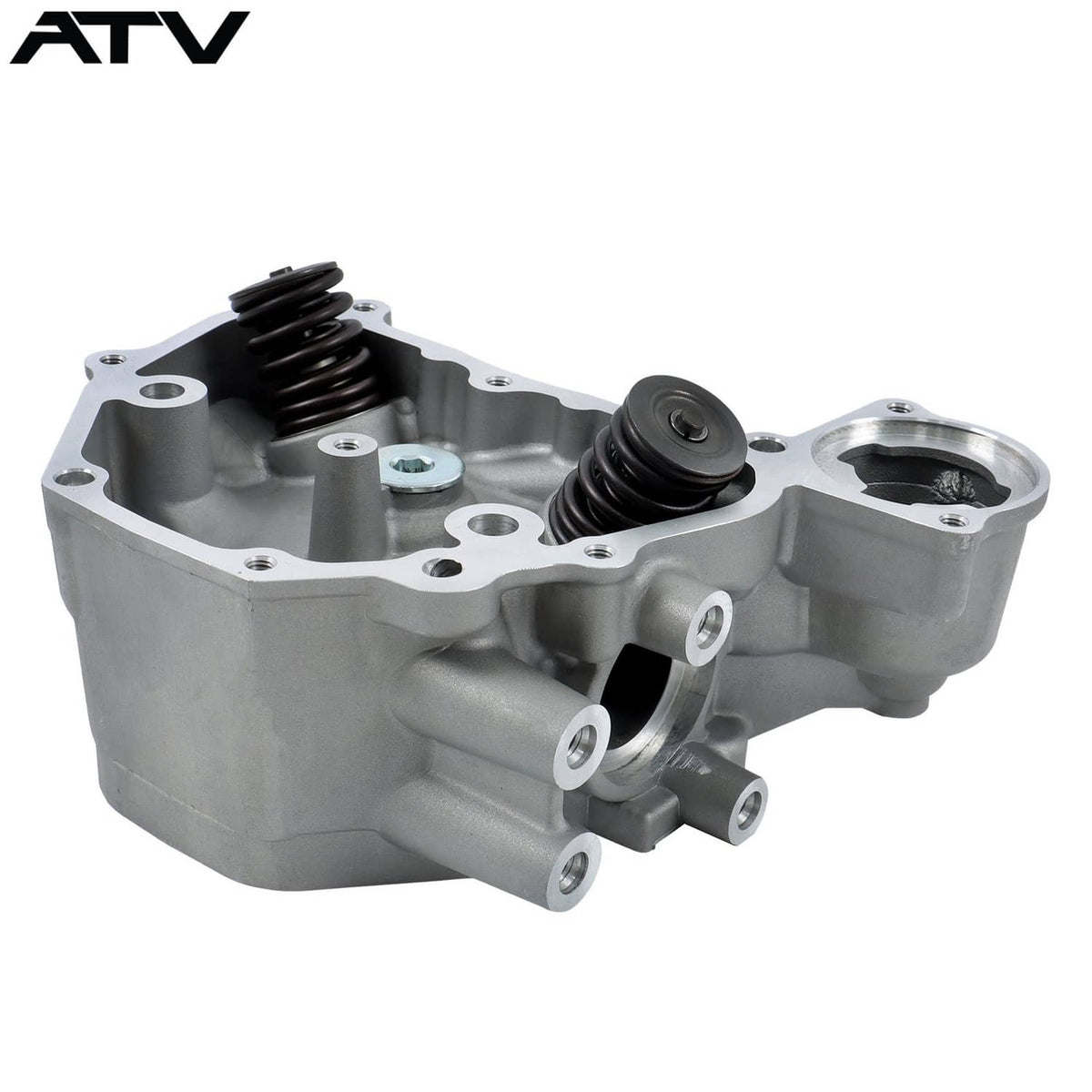 Solidspare 2009-2024 Cylinder Head Assembly For Honda TRX420 TRX500 SXS500M 12200-HP7-A01