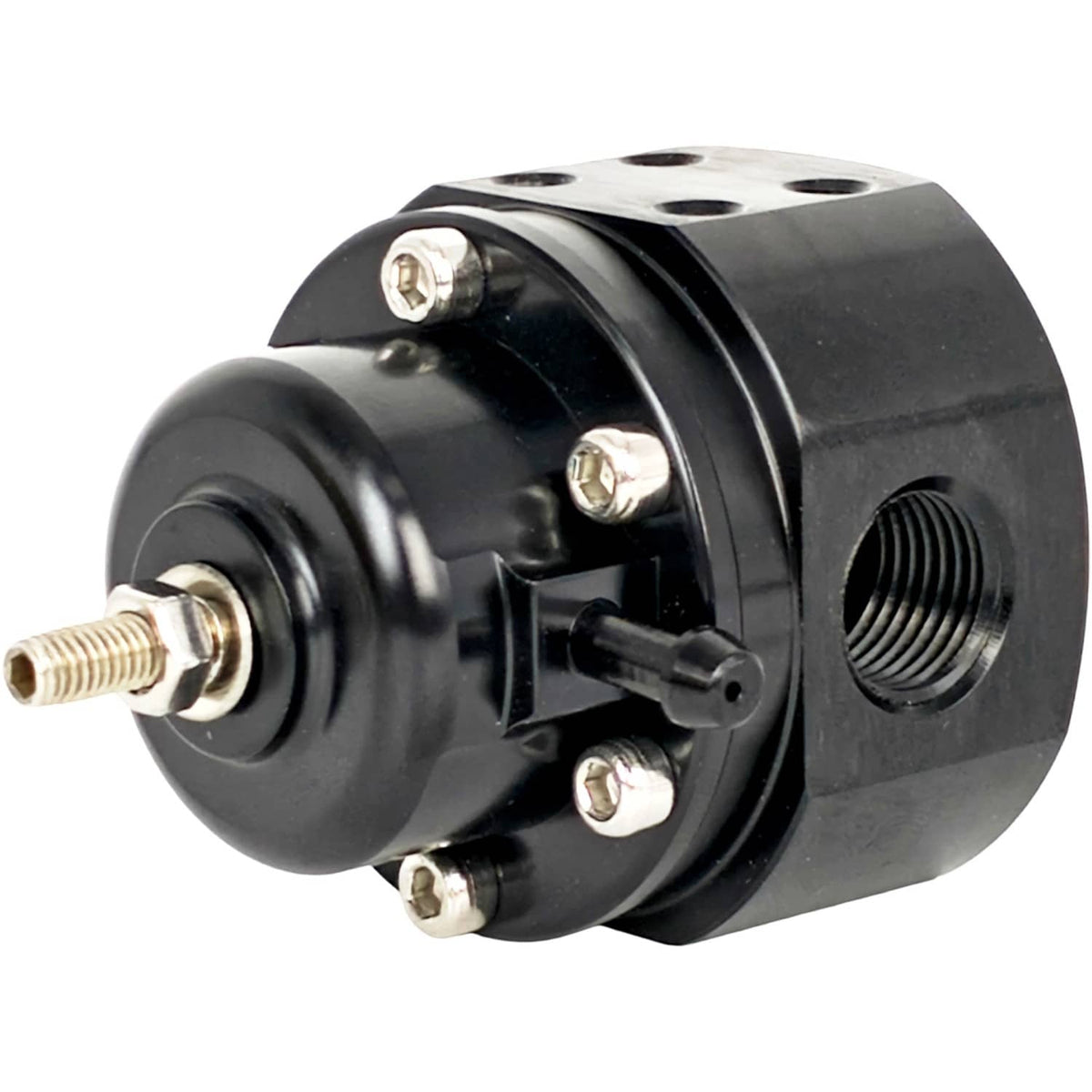 Solid Spare 25-302BK Fuel Pressure Regulator Kit for Holley Up to 1000HP PSI 25302BK
