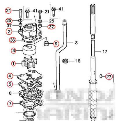 Solid Spare 06193-ZV7-020 Honda Complete Water Pump Rebuild Kit for BF25 and BF30