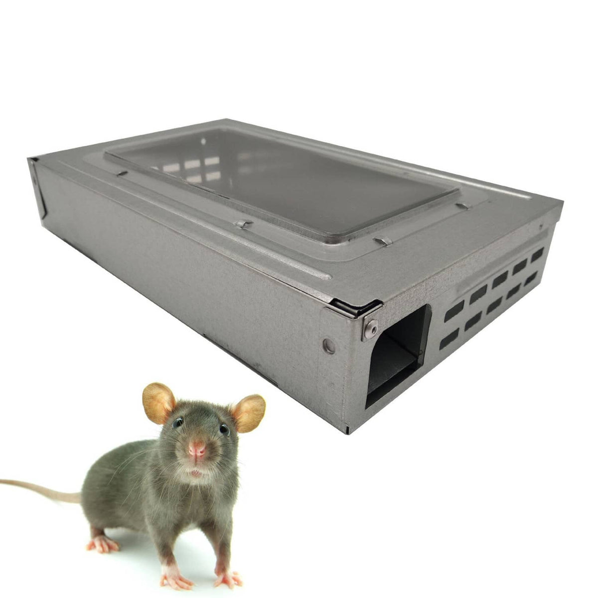 Solid Spare Multiple Catch Mouse Trap Clear Lid Repeater Humane Mouse Trap