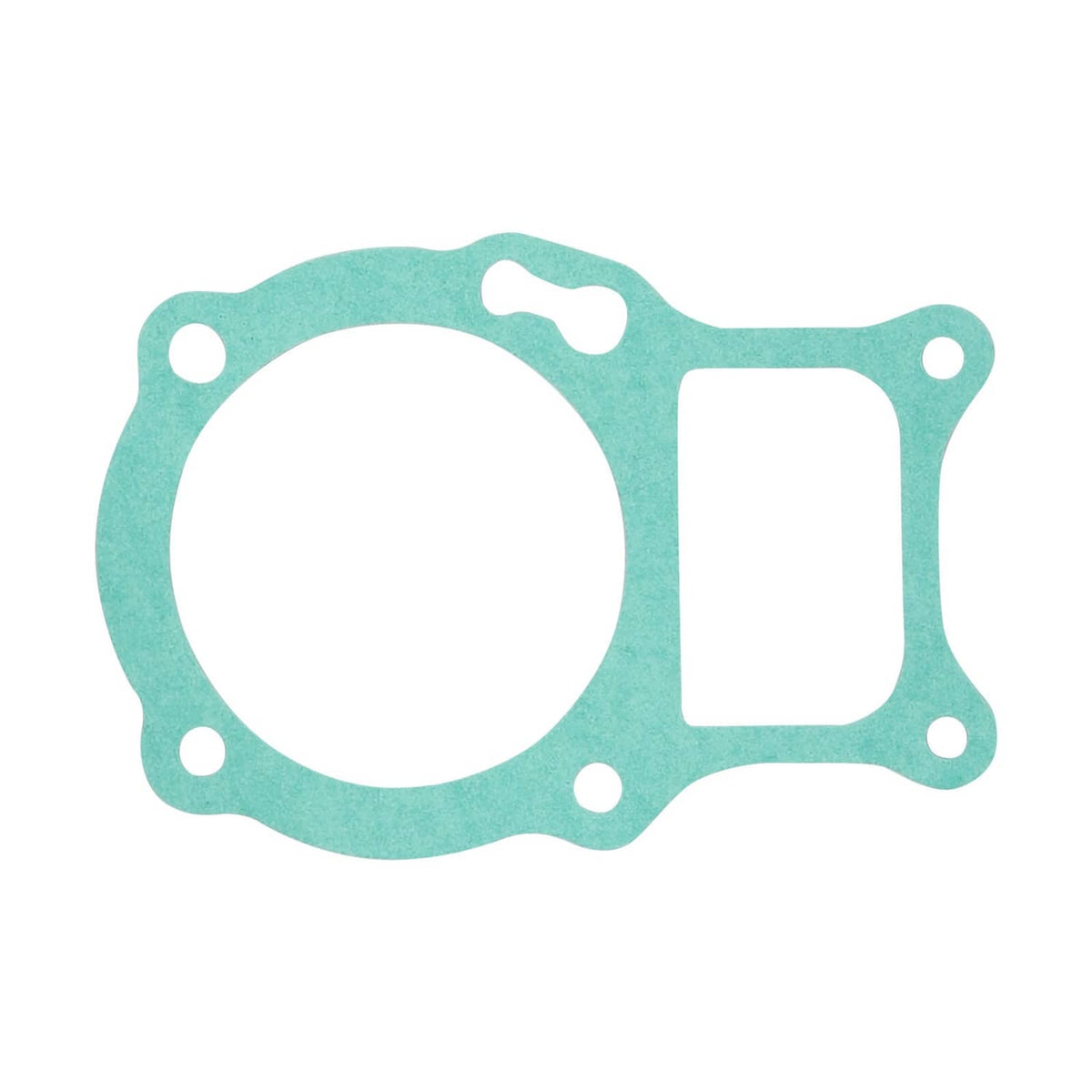 Solidspare Cylinder Head Piston Kit for Honda Recon 250 TRX250TE/TM 2002-2014 12200-HM8-305