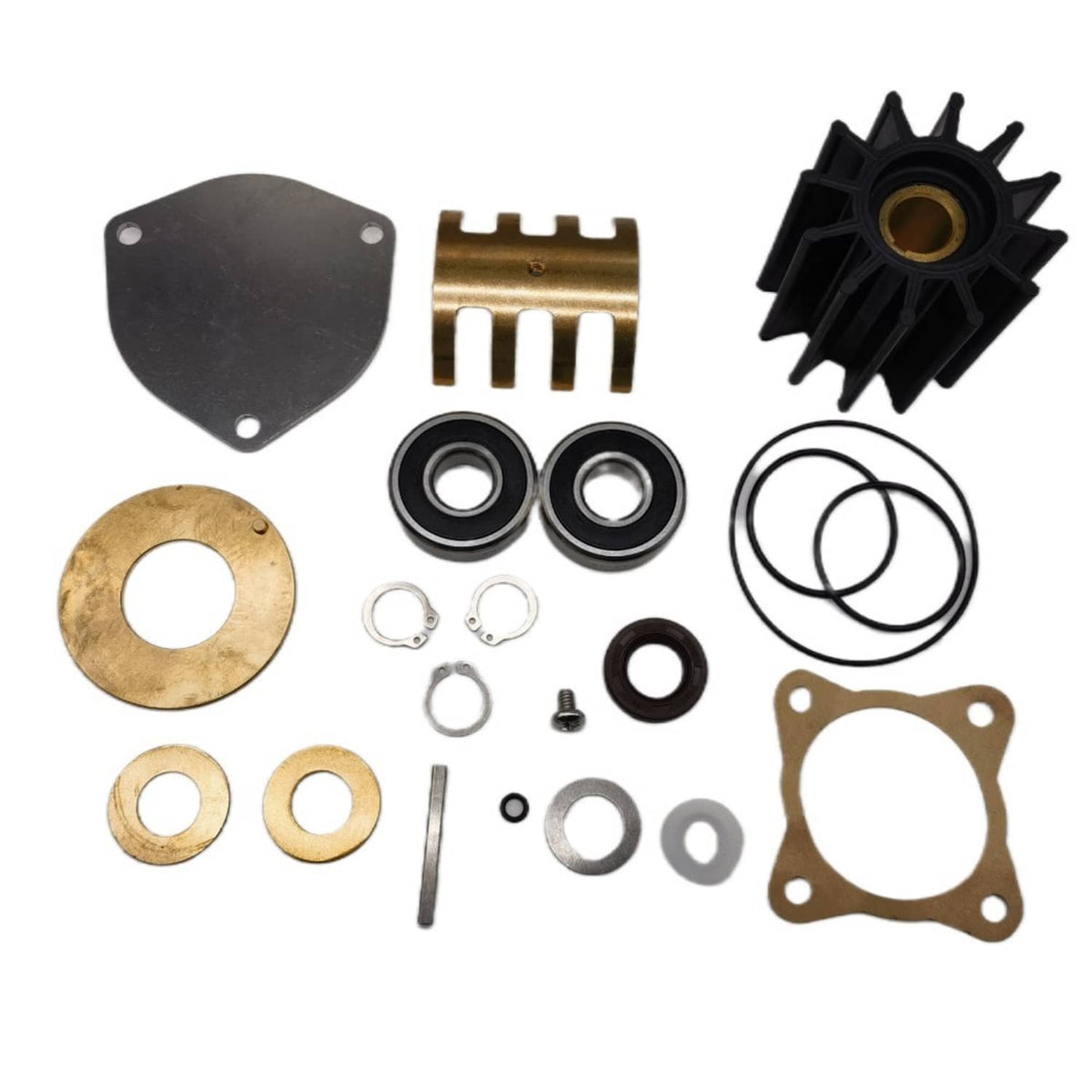 Solid Spare Sherwood Major Repair Service Kit 23974 P1730 P1727 P1716 P1719 P1722 A F B X