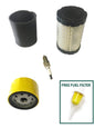 MAINTENANCE KIT FOR JOHN DEERE D100 D105 D110 KIT LG266 796031 591334 LG277 X330