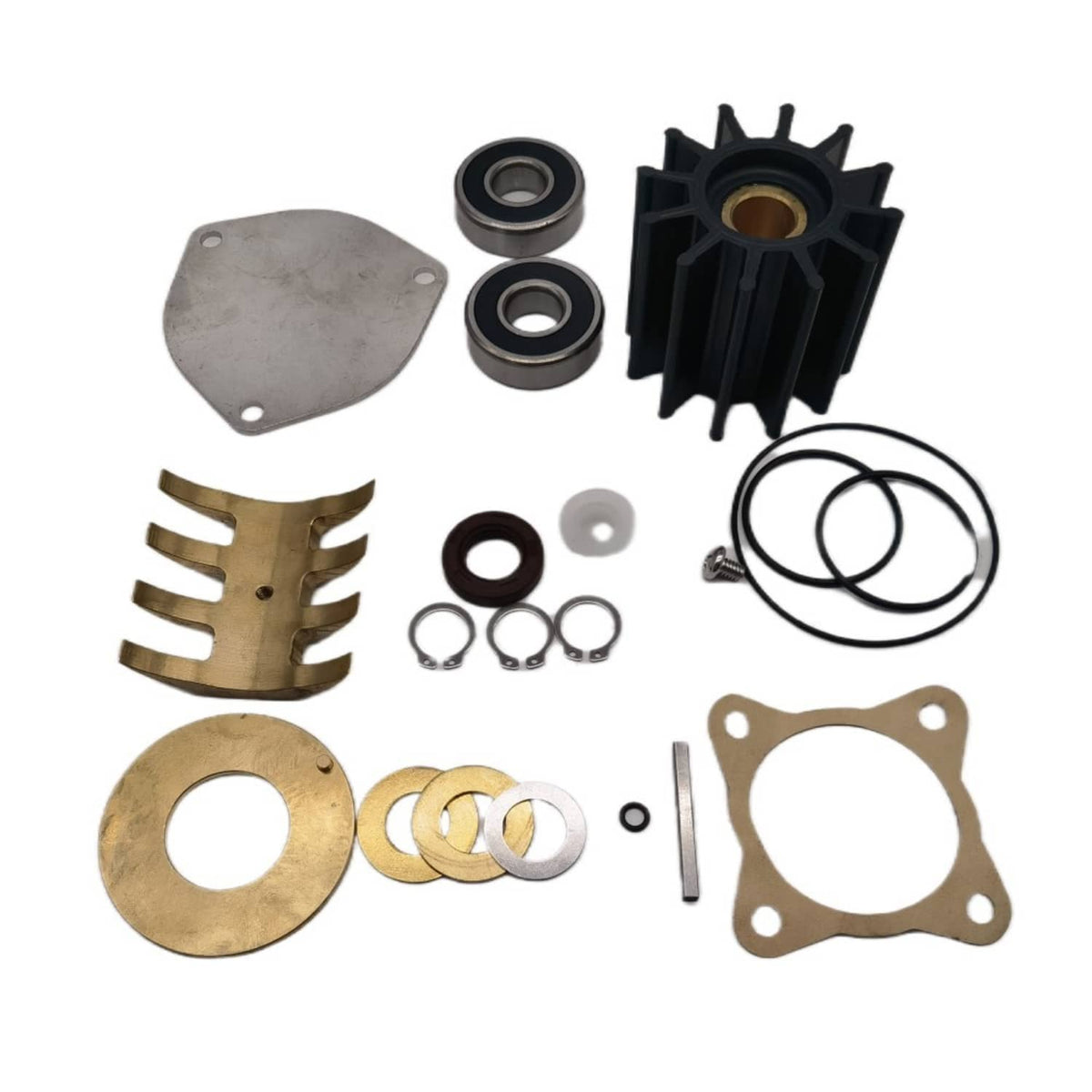 Solid Spare Sherwood Pump 23974 P1711 P1712 P1716B P173 P1719 Impeller Repair Kit 17000K
