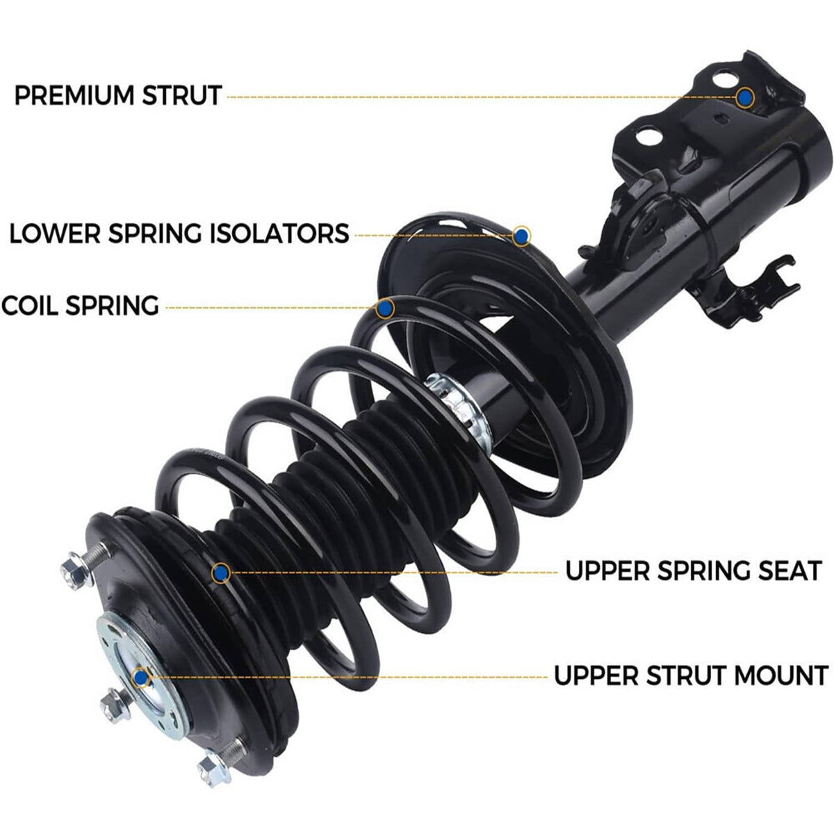 Solidspare Set Front Complete Struts Shocks & Coil Springs For 2010-2015 Toyota Prius 1.8L