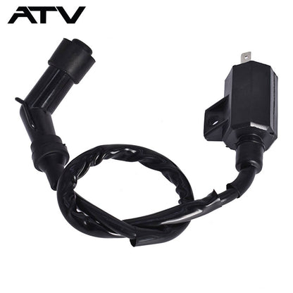 Solidspare Generic  For Suzuki ATV Ozark 250 LTF250 2x4 Black Ignition Coil 2002-2012