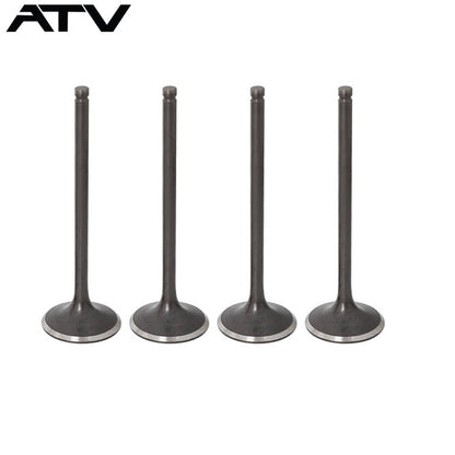 Solidspare Fit For Honda Sportrax TRX400EX Cylinder Head Rebuild Intake Valve Kit 1999-2008