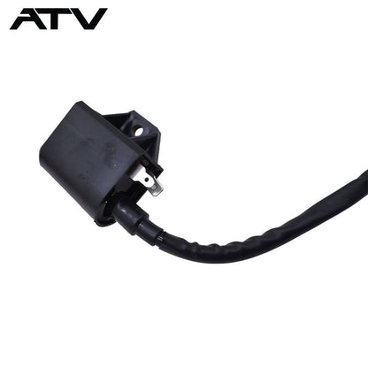 Solidspare Generic For Polaris Sportsman Ranger 400 450 500 2004-2014 Ignition Coil 3089239