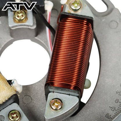 Solidspare Generic STATOR MAGNETOS COIL FOR YAMAHA YFS200 BLASTER 200 2003-2006