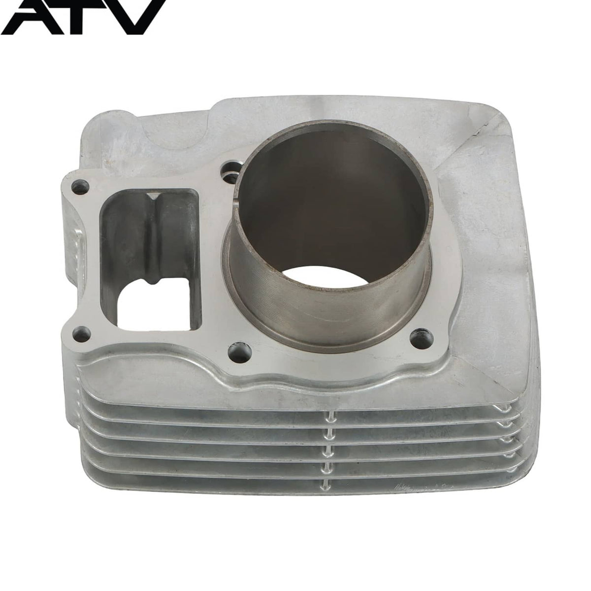 Solidspare For Honda Recon TRX250 2x4 02-18 Cylinder Camshaft Exhaust & Intake Valve Seals