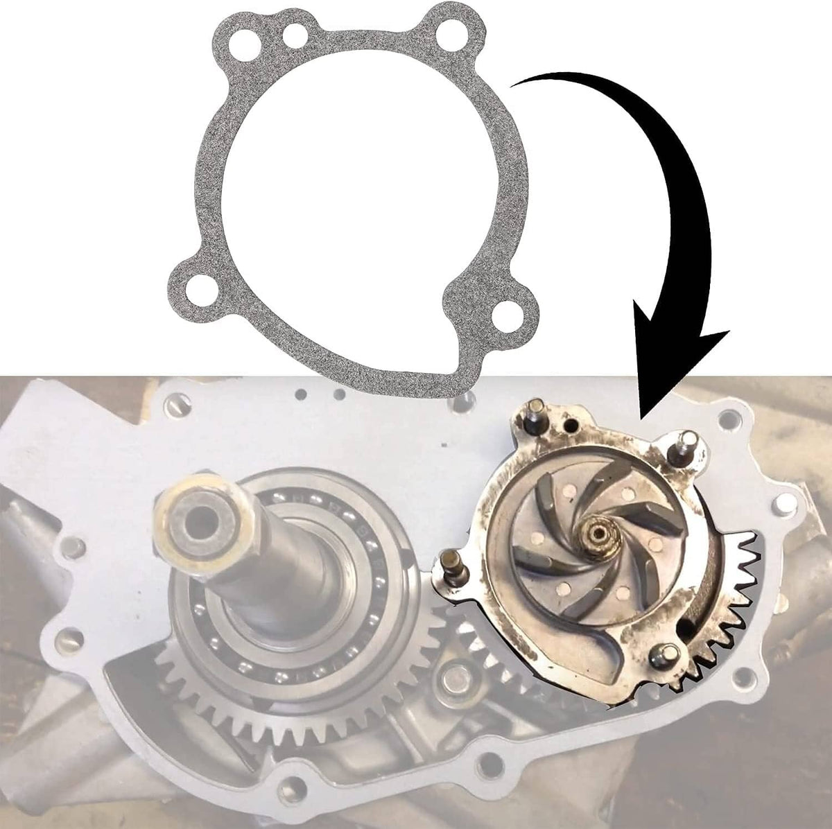 Solid Spare Water Pump Seals & Gaskets Rebuild Kit for Polaris 350L 400 & 400L 2 Stroke