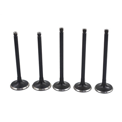 Solidspare Engine Intake Exhaust Valve Kit for Yamaha Rhino 660 2004 2005 2006 2007