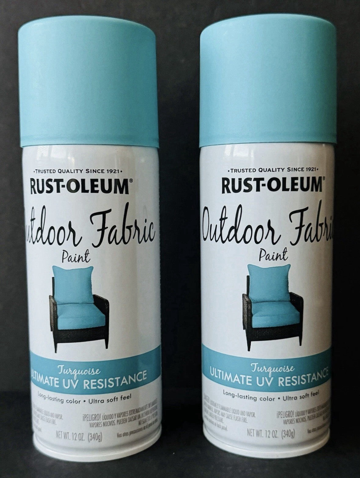2 Pack Rust-Oleum 358842 Outdoor Fabric Paint "TURQUOISE", 12oz