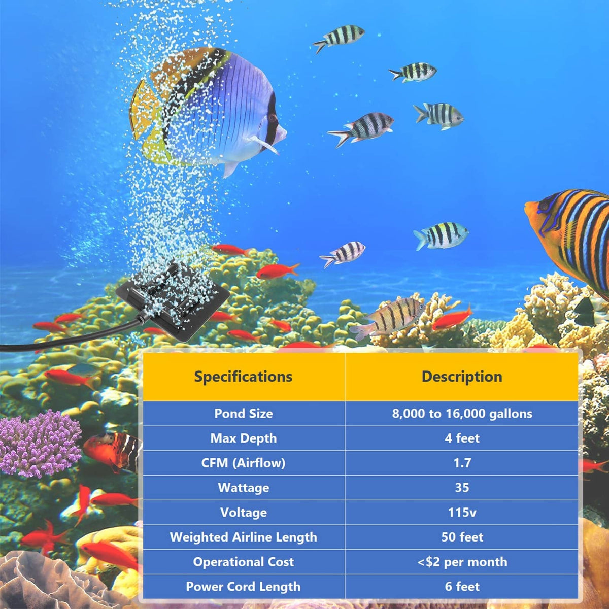 Solidspare Complete Pond Aeration Kit Fits Water Gardens & Koi Ponds 8,000-16,000 Gallons