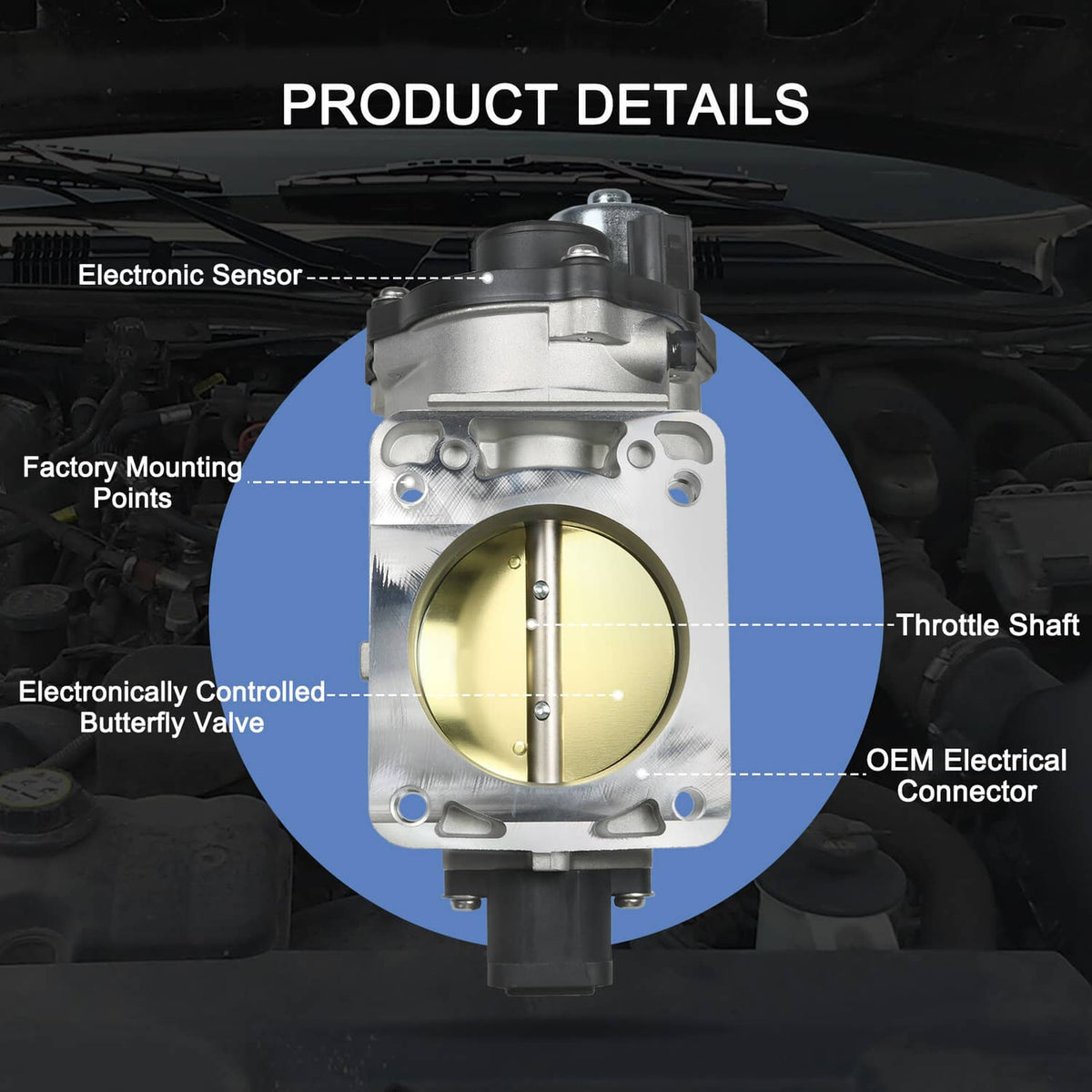 Solidspare Throttle Body Assembly for Ford Crown Victoria E-150 E-250 Mustang Taurus MKT