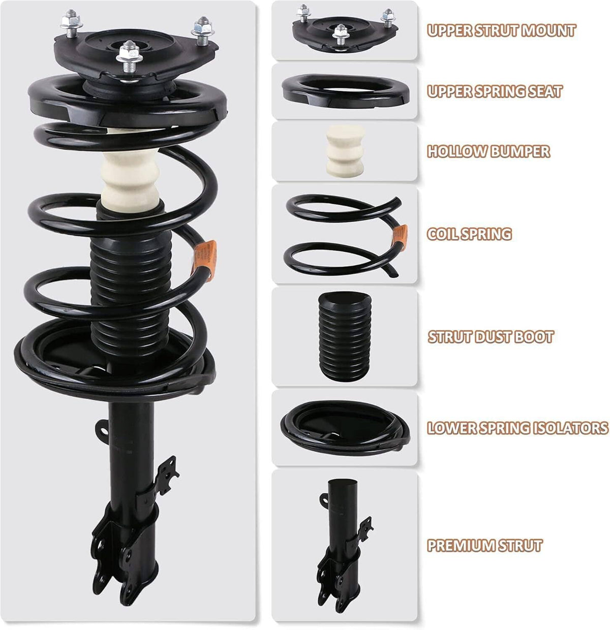 Solidspare Set Front Complete Struts Shocks & Coil Springs For 2010-2015 Toyota Prius 1.8L