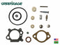 CARBURETOR KIT FOR BRIGGS & STRATTON 498260 493762 492495 498261 490937 10237