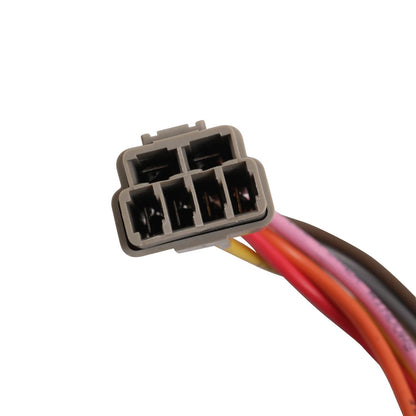 Solidspare Universal 22 Circuit Wiring Harness Street Hot Rat Rod Custom Wire Kit XL WIRES