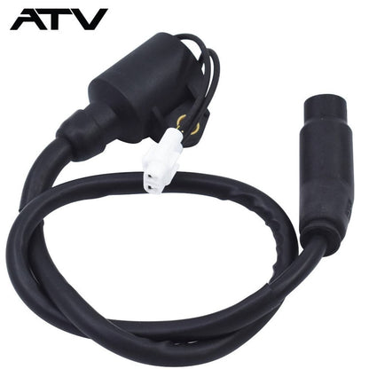 Solidspare Ignition Coil Fit for Polaris Hawkeye 300 2x4 4x4 Sportsman 300 3089860 3089910