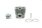 CYLINDER ASSEMBLY FOR ALPINA VIP 52 P500 P510 P522 VIP 55 CASTOR 52 8540970