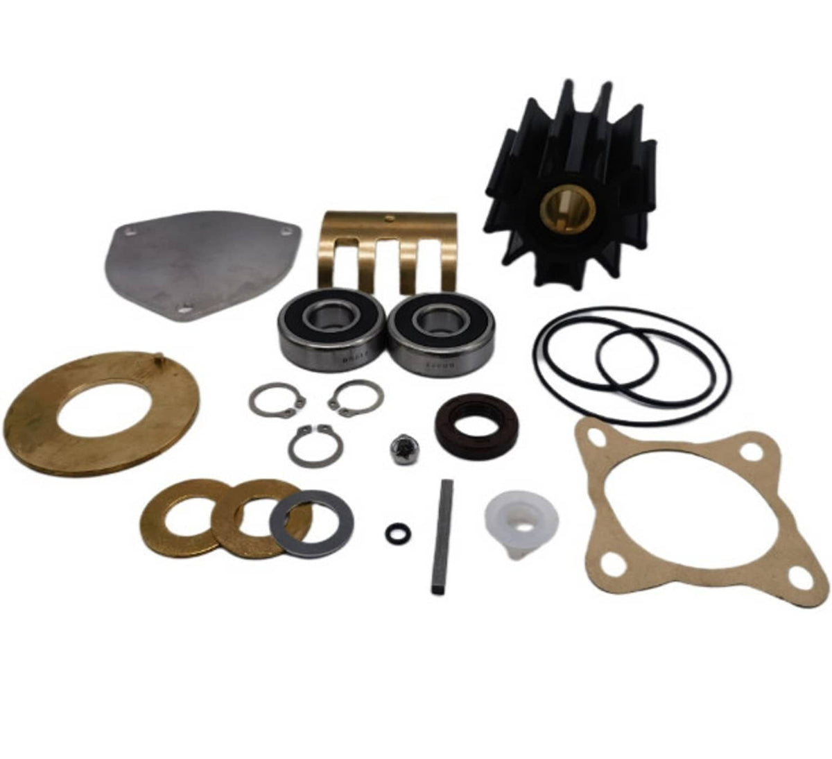 Solid Spare Sherwood Pump 23974 P1711 P1712 P1716B P173 P1719 Impeller Repair Kit 17000K