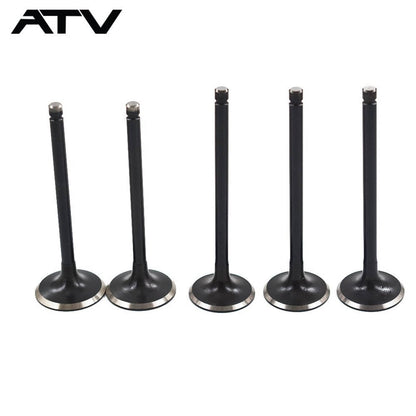 Solidspare CYLINDER INTAKE EXHAUST VALVES Fits for YAMAHA RAPTOR 660R YFM660R 4X4 2001-2005