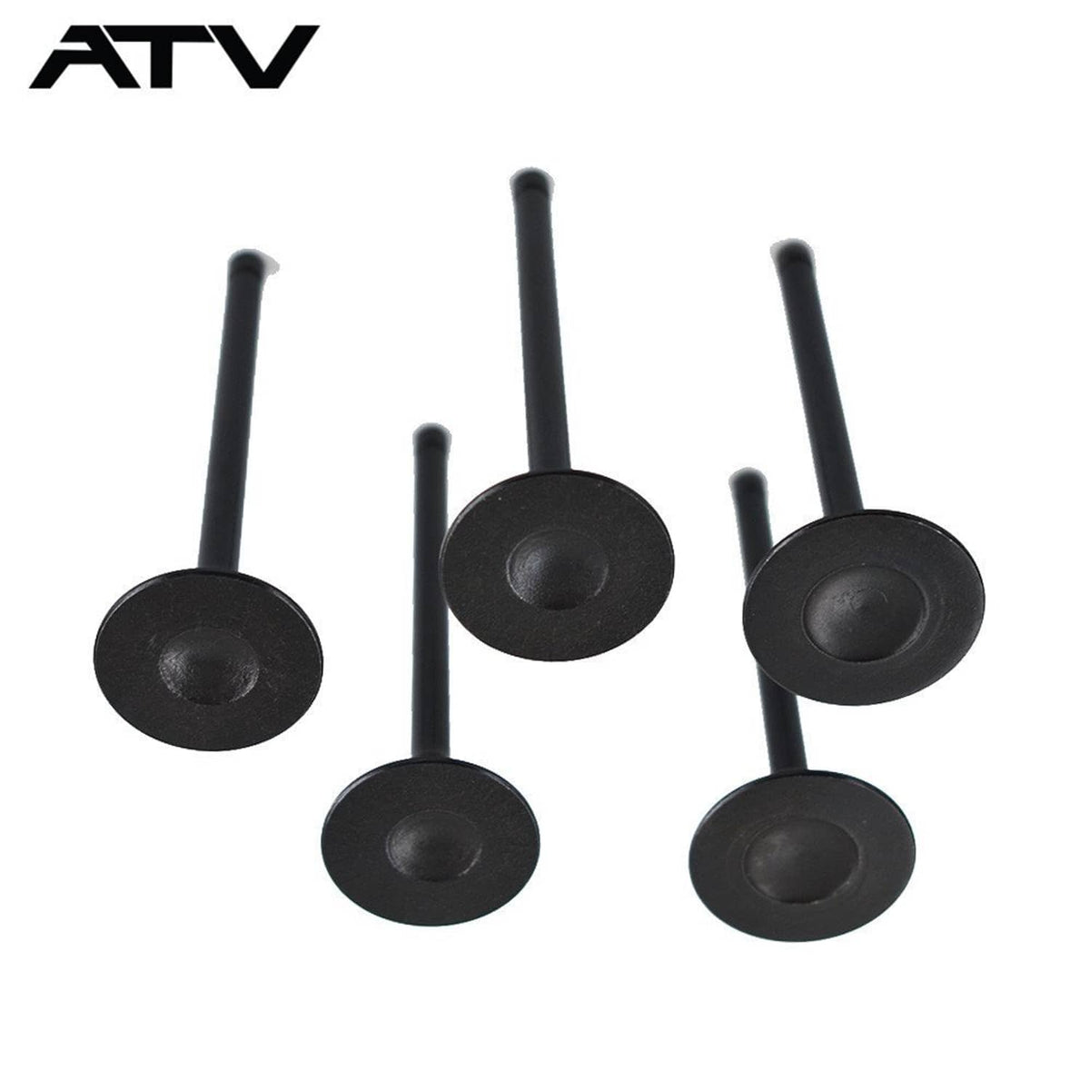 Solidspare Engine Intake Exhaust Valve Kit for Yamaha Rhino 660 2004 2005 2006 2007